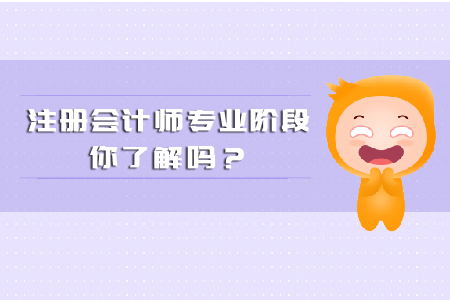 注冊(cè)會(huì)計(jì)師專(zhuān)業(yè)階段你都了解多少？