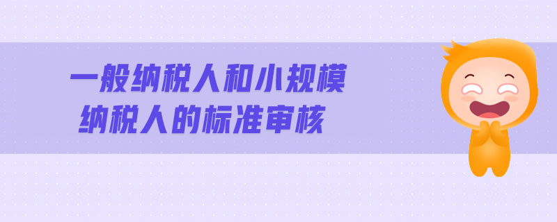 一般納稅人和小規(guī)模納稅人的標準審核