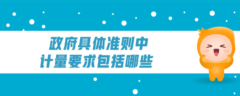 政府具體準(zhǔn)則中計量要求包括哪些