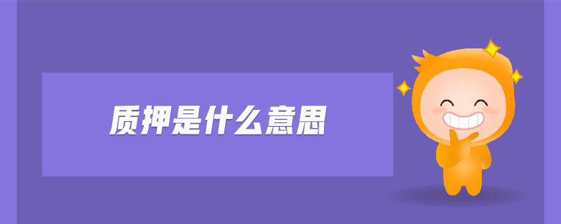質押是什么意思