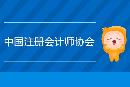 2020年中國注冊(cè)會(huì)計(jì)師協(xié)會(huì)報(bào)名網(wǎng)站在哪？