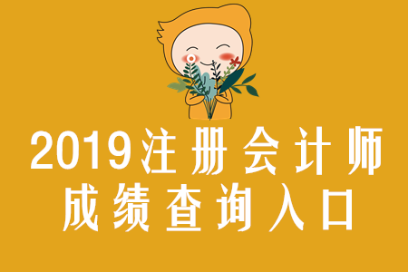黑龍江2019年注冊會計(jì)師成績查詢?nèi)肟谝验_通