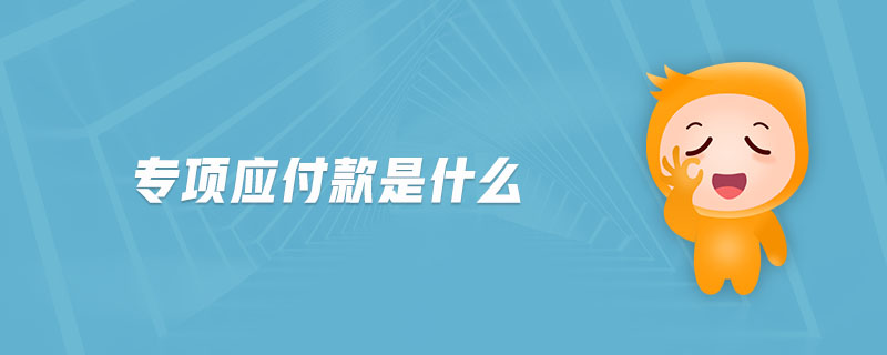 專項應(yīng)付款是什么