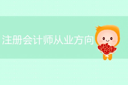 注冊會計師從業(yè)方向具體有哪些？