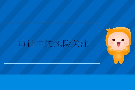 審計中的風險關注