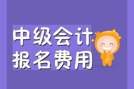 中級(jí)會(huì)計(jì)報(bào)名費(fèi)用2020年為多少？