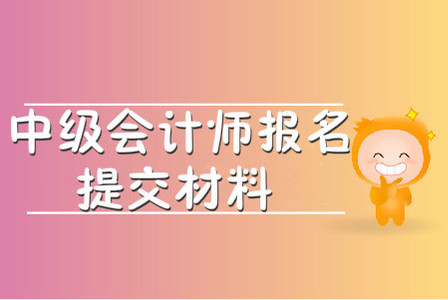 中級(jí)會(huì)計(jì)師報(bào)名提交材料有哪些？