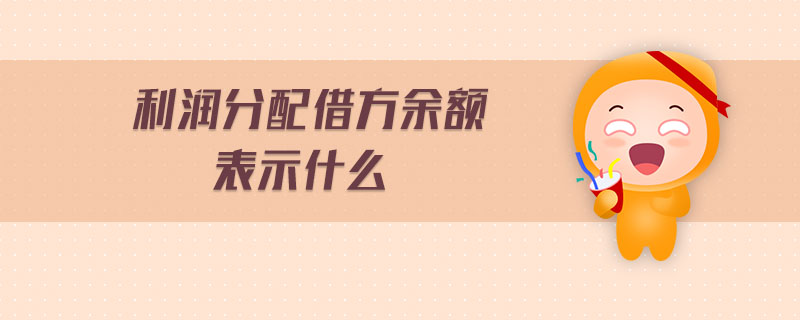 利潤分配借方余額表示什么