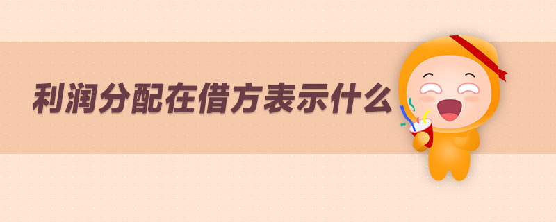 利潤(rùn)分配在借方表示什么