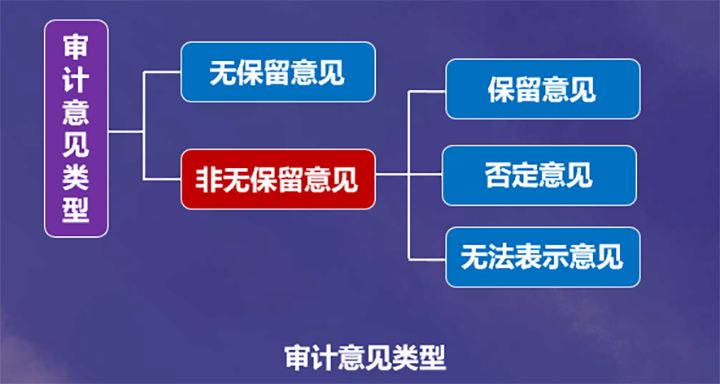 審計意見類型