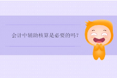會計中輔助核算是必要的嗎？