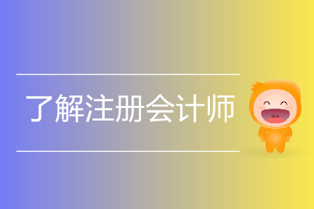 報(bào)考不再猶豫！一文帶你了解注冊(cè)會(huì)計(jì)師的方方面面！