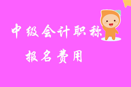 2020年中級(jí)會(huì)計(jì)職稱報(bào)名費(fèi)用是多少？