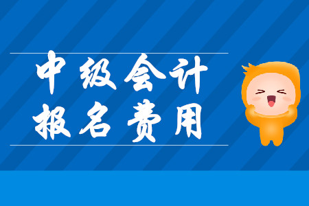 中級(jí)會(huì)計(jì)師考試報(bào)名費(fèi)用山東2020年是多少？