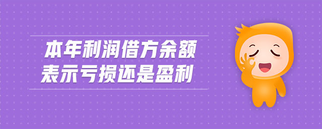 本年利潤借方余額表示虧損還是盈利