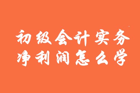 初級會(huì)計(jì)實(shí)務(wù)中凈利潤該怎么學(xué)？
