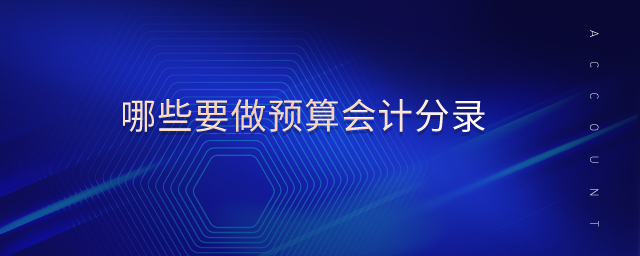 哪些要做預(yù)算會計分錄