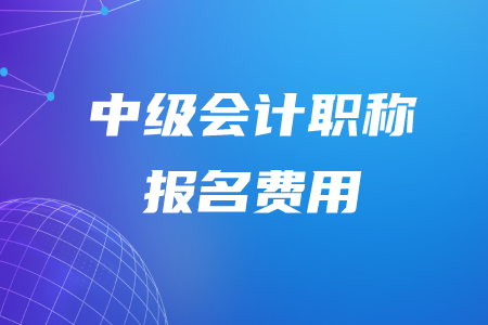 2020年湖北中級會計(jì)職稱報(bào)名費(fèi)需要多少？