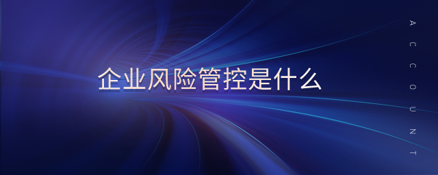 企業(yè)風險管控是什么
