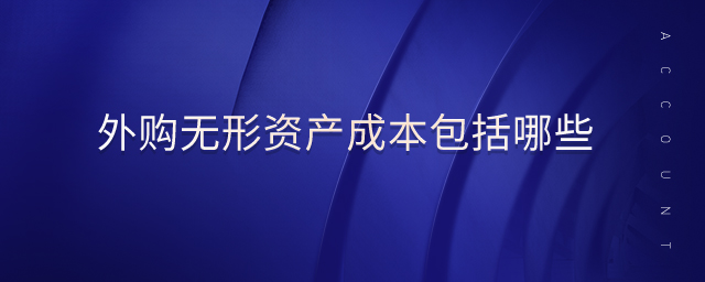 外購(gòu)無(wú)形資產(chǎn)成本包括哪些