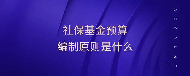 社?；痤A(yù)算編制原則是什么
