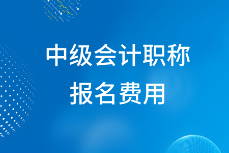 2020年湖北中級會計職稱報名費(fèi)為多少元？
