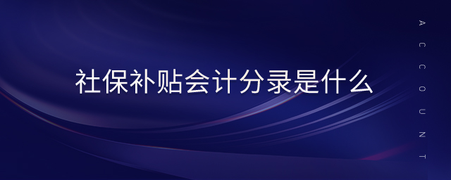 社保補貼會計分錄是什么