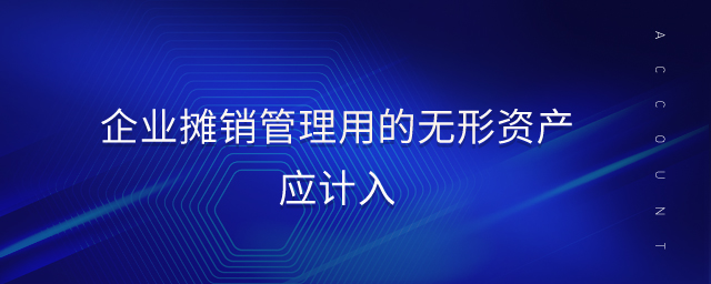 企業(yè)攤銷管理用的無(wú)形資產(chǎn)應(yīng)計(jì)入