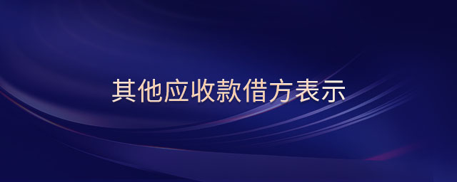 其他應(yīng)收款借方表示