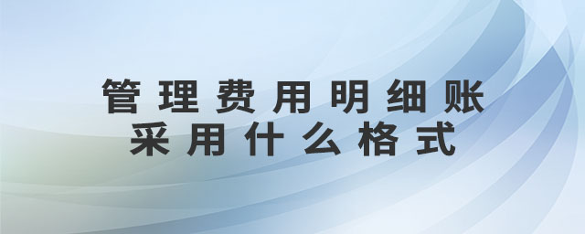 管理費用明細(xì)賬采用什么格式