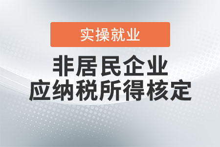 非居民企業(yè)應(yīng)納稅所得如何核定？