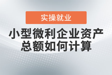 小型微利企業(yè)資產總額如何計算？