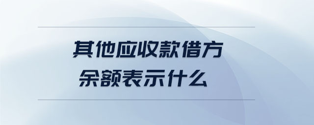 其他應收款借方余額表示什么