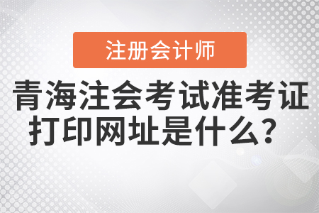2020年青海注冊會計師考試準(zhǔn)考證打印網(wǎng)址是什么？