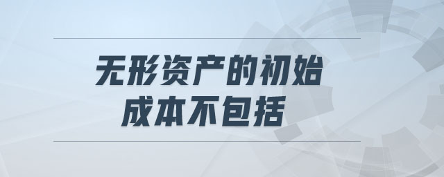 無形資產的初始成本不包括