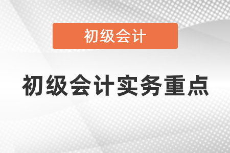 初級會計(jì)實(shí)務(wù)重點(diǎn)是什么