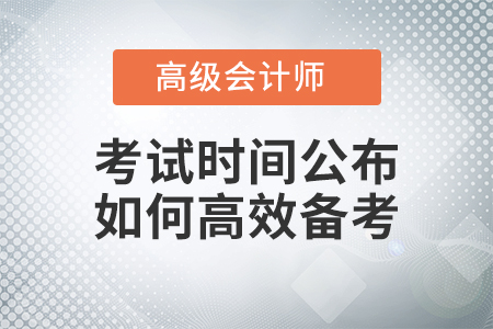 高級會計師考試想要順利通關(guān)？這幾點也許是備考關(guān)鍵！