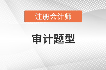 注冊(cè)會(huì)計(jì)師審計(jì)題型
