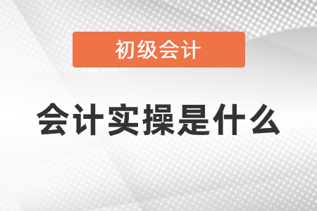 初級會計(jì)實(shí)操是什么