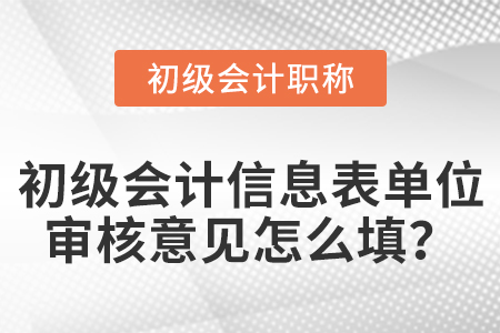 初級會計信息表單位審核意見怎么填？
