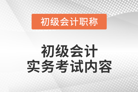 初級(jí)會(huì)計(jì)實(shí)務(wù)考試內(nèi)容