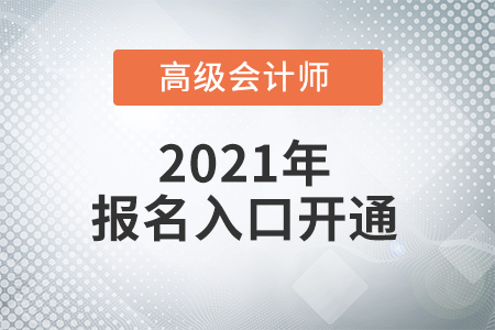 高級(jí)會(huì)計(jì)師報(bào)名入口2022年在哪里？
