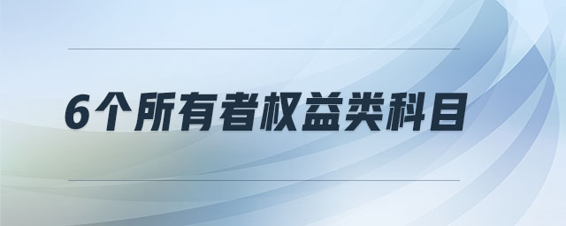 6個(gè)所有者權(quán)益類(lèi)科目