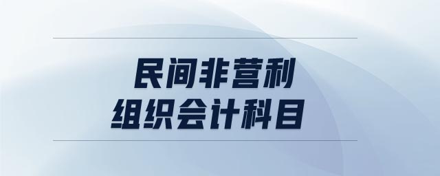 民間非營(yíng)利組織會(huì)計(jì)科目