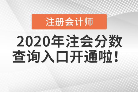 2020年注會分數(shù)查詢?nèi)肟陂_通啦！