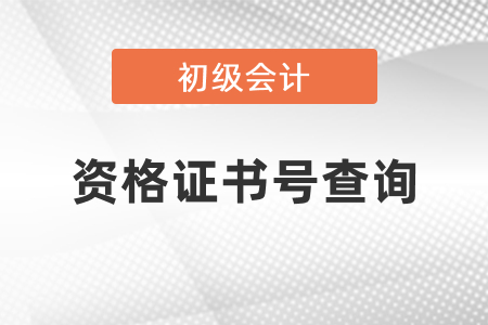 初級會計(jì)證資格證書號查詢方法
