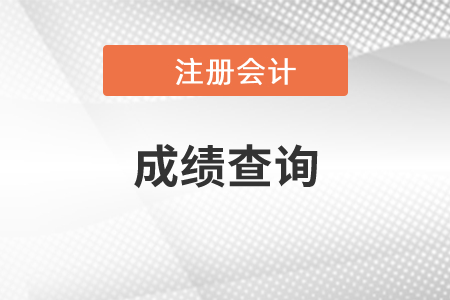 遼寧省撫順注會(huì)成績(jī)查詢網(wǎng)址