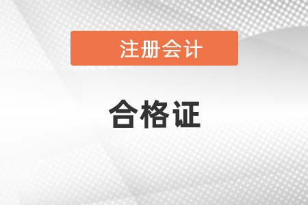 2020年廣東省河源注會(huì)成績查詢流程與證書領(lǐng)取步驟