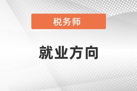 稅務師就業(yè)方向有哪些？