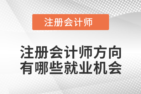 注冊(cè)會(huì)計(jì)師方向有哪些就業(yè)機(jī)會(huì)